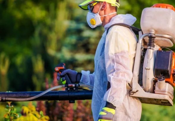 article_23823_featured_1773383250