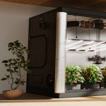 master_the_art_of_pest-free_growing_how_grow_tents_33724_featured