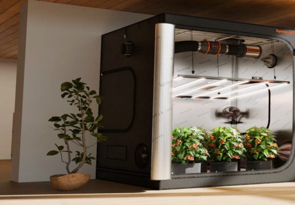 master_the_art_of_pest-free_growing_how_grow_tents_33724_featured