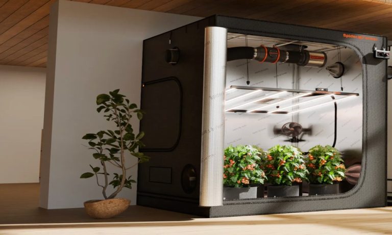 master_the_art_of_pest-free_growing_how_grow_tents_33724_featured